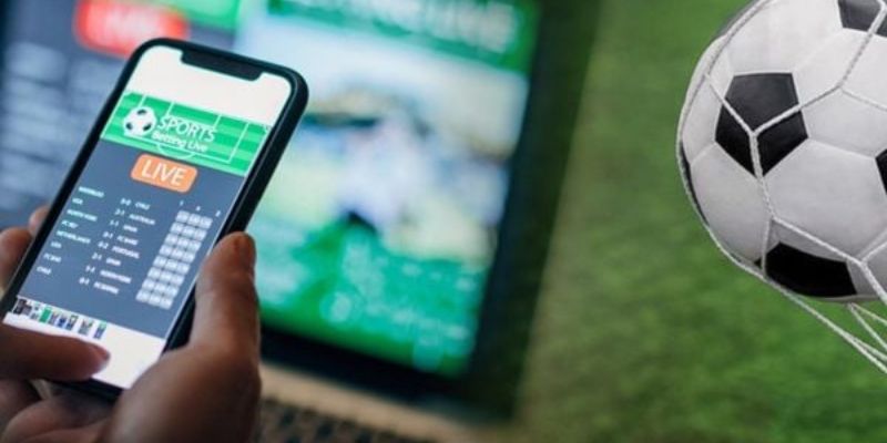 Đánh giá công thức cá độ bóng đá